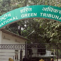 NGT asks Coastal Aquaculture Authority to act on illegal aqua farms in Andhra