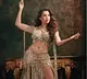Nora Fatehi roped in for Pawan's 'Hari Hara Veera Mallu'