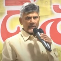 Vizag: Don’t worry about police cases, Chandrababu tells TDP workers