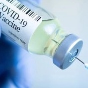 Severe obesity blunts antibody response to Covid vaccines: Study