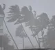 Low Pressure may turn to storm by may 10 in bay of bengal