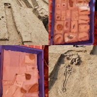 ASI digs up millennia-old planned Harappan city in Haryana's Rakhigarhi