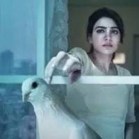 New Movies Update