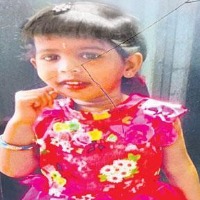 Toddler dies after being hit by a reversing car