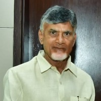 Irregularities in land pooling: AP CID names Chandrababu as A1, Narayana A2 in FIR 