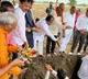 bjp ap chief somu veerraju laid foundation to bjp office in kyrnnool