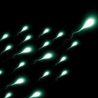 New measure of sperm age may predict pregnancy success