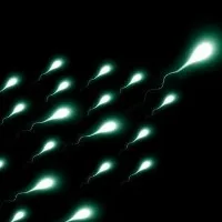New measure of sperm age may predict pregnancy success