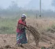 Unseasonal rains hit hard Telangana paddy farmers