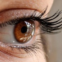 Scientists move a step closer for cataract treatment with new drug