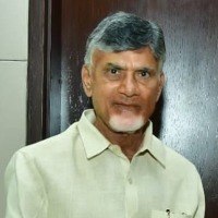 Chandrababu directs TDP cadre to be ready for early Assembly elections