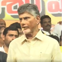 Rajya Sabha seats: Chandrababu takes dig at CM Jagan for picking two from Telangana