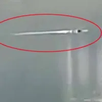 Crocodile drags man into river in Rajasthnas kota