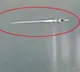 Crocodile drags man into river in Rajasthnas kota