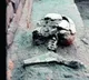 Woman skeleton found in Vadnagar