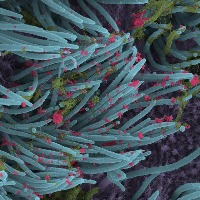 'I must be doing something right', says Deepika about her Cannes sojourn