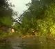 Walls collapse trees fall as Delhi NCR wakes up to heavy rain storm