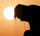 High Temperatures in coastal andhrapradesh
