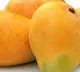 Mango Side Effects Eating Too Many Mangoes May Cause THESE Health Problems