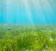 Sugar mountains underneath sea grass meadows