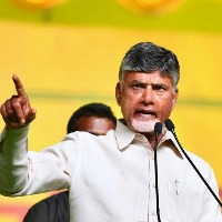 Chandrababu Naidu accuses YSRCP for Amalapuram violence