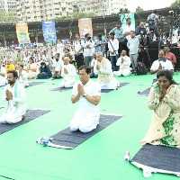 Thousands participate in Hyderabad Yoga Utsav