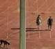 IAS officer who vacated Delhi stadium to walk his dog transferred to Ladakh wife to Arunachal