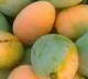 How to Store Mangoes the Right Way