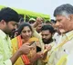 chandrababu enters mahanadu after registers his name