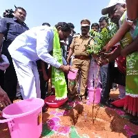 హరితహారంతో ఆకుపచ్చని తెలంగాణ