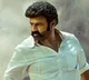 Balakrishna in Gopichand Malineni movie new poster released