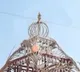 Three dead in Telangana after chariot touches electricity wire