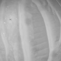 NASA's Ingenuity Mars helicopter captures record-breaking flight video