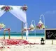 Destination Weddings: Your day, your way