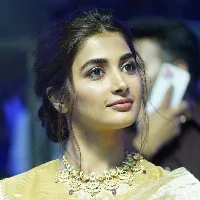 Pooja Hegde in Animal movie