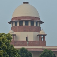 ‘Isn't NGT for ordinary citizens?’: SC questions tribunal taking up Raghu Ramakrishna Raju’s plea