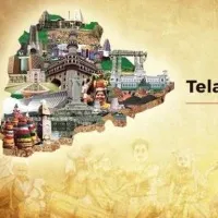 a small boy tell about telangana formation