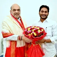 ap cm ys jagan meets amit shah in delhi