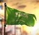 Saudi Arabia condemns ex-BJP spokesperson's Prophet comments