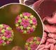Kerala confirms 2 cases of Norovirus