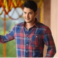 Mahesh Babu gearing up for the commencement of his next, Pooja Hegde finalised