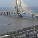driver stop to rescue eagle killed as taxi ploughs into them on Mumbai Sea Link