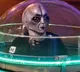 NASA To Explore Scientific Evidences On Aliens