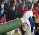India reports 8329 fresh cases
