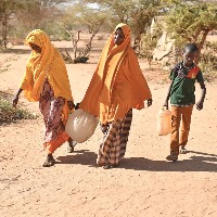 18.4 mn people reels under acute food insecurity in Horn of Africa: UN