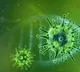 Russian scientists found sub variants to Omicron