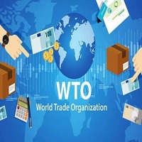 WTO's 12th ministerial meeting opens in Geneva to tackle key issues