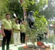 aurangabad get rid of wives husbands had vat puja