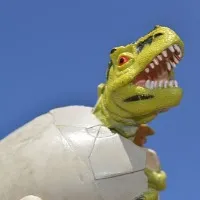 Unique dinosaurs eggs found in Madhya Pradesh