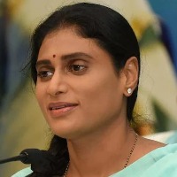 YS Sharmila to contest from Paleru constituency